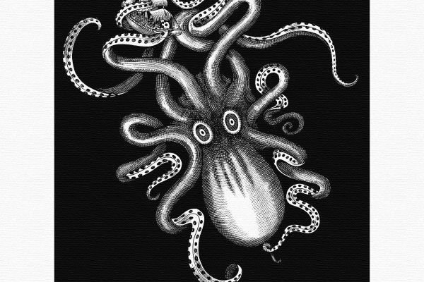 Kraken зеркало