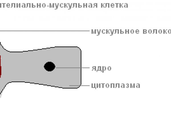 Ссылки на кракен блэкспрут